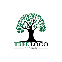 Obraz premium Child care. Tree logo. Educational design .balance and life design. Vector illustration