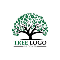 Child care. Tree logo. Educational design .balance and life design. Vector illustration