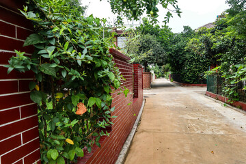Fototapeta na wymiar China garden