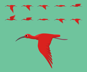 Animation Bird Scarlet Ibis Flying Cute Cartoon Vector Illustration