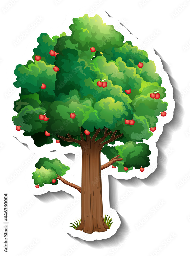 Wall mural apple tree sticker on white background