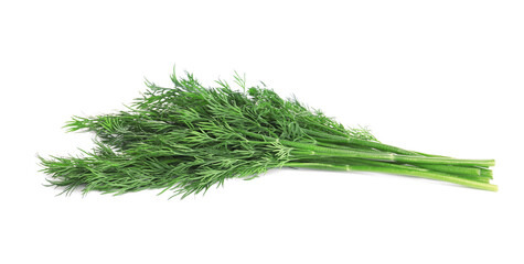 Bunch of fresh dill on white background