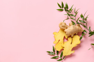 Composition with fresh ginger on color background