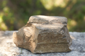 Stone on the background of green plants, the perfect podium for your product, natural background with textured pedestal. High quality photo