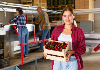 Portrait of smiling female worker standing with box of freshly harvested sweet cherry at fruits sorting department at warehouse
