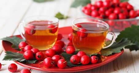 The hawthorn harvesting season for future use. Alternative medicine. The benefits of herbal hawthorn tea.Two cups of herbal tea on a red rectangular plate on a white table with berries.