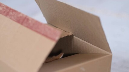 4k Ginger little kitten playing at home. Curious playful funny striped red cat hidden inside box, climbed high on top of the cardboard box, getting in and out