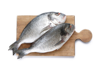 Board with raw dorado fishes on white background