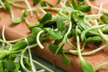Board with fresh micro green on table, closeup
