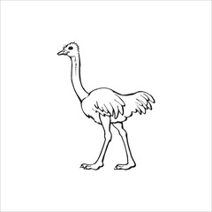 Ostrich logo design on white background.