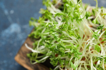 Wooden board with fresh micro green on color background, closeup