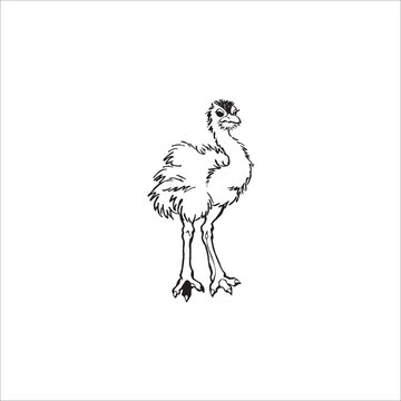 Ostrich logo design on white background.