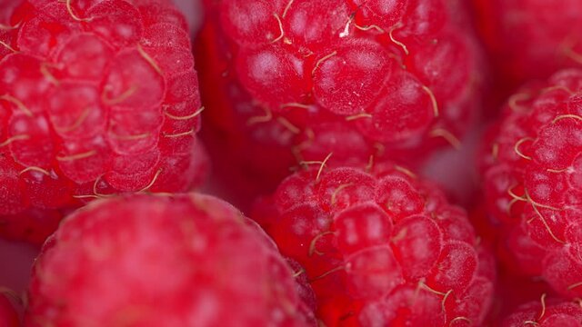 Fresh raspberry fruits as food dackground. Red raspberries, rotation.