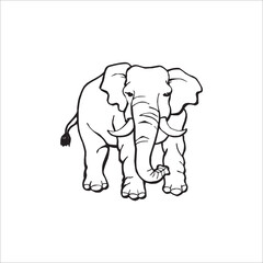 Vector of elephant design on white background, Vector elephant for your design template.