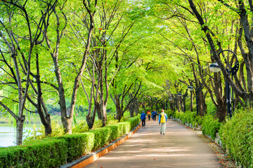 Obraz premium Tourists and residents walking along park in Seoul, South Korea