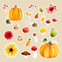 Watercolor hand drawn autumn pumpkin and fruits sticker set