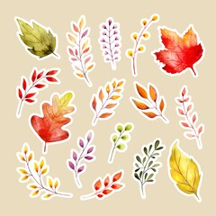 Watercolor hand drawn autumn leaves sticker set