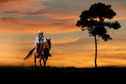 Cowboys wearing white shirt and hat horseback ride transport stand near silhouette  at sunset time with beautiful sunlight ray sky background.