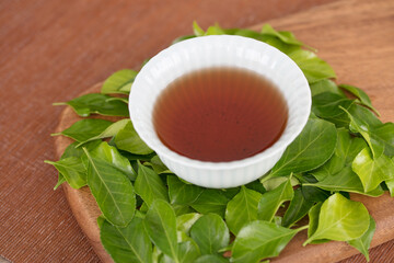 A bowl of soaked gaiwan tea on a background of green leaves