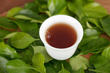 A cup of Fu tea on a background of green leaves