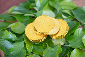 A pile of gold coins on a background of green leaves