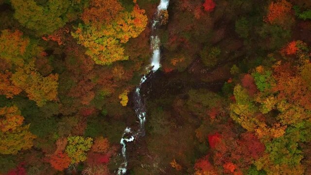 滝・紅葉・ドローン・空撮