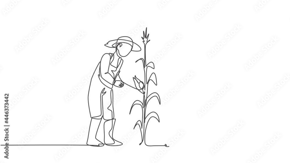 Poster self drawing animation of single one line draw young couple farmer picking the corn on the tree and 