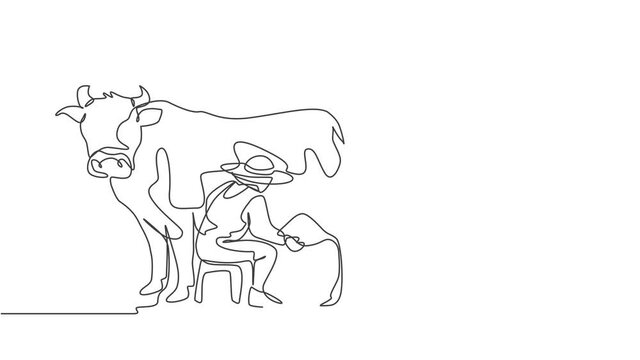 Animated self drawing of continuous one line draw happy couple farmer milking a cow with traditional way together. A successful harvest activity minimalism concept. Full length single line animation.