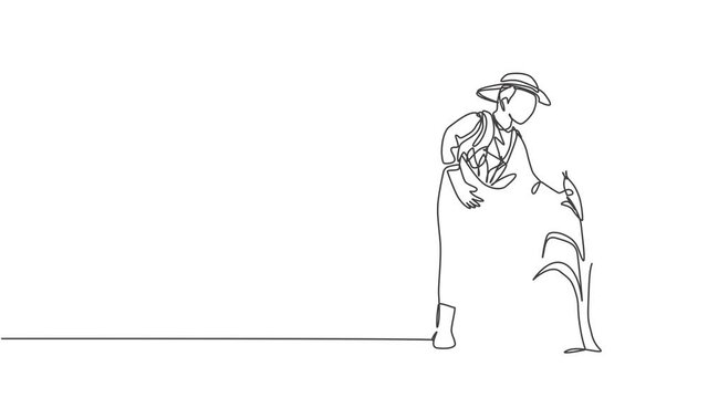 Animated self drawing of single one line draw young male farmer picking the corn on the tree. Professional farmer. Farming challenge minimalist concept. Continuous line draw. Full length animated.