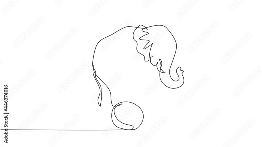 Aufkleber animated self drawing of single continuous line draw a cute elephant stands on the ball with all fou