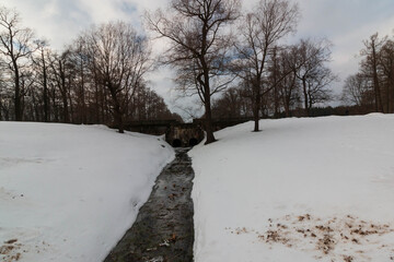 park in the city of pushkin