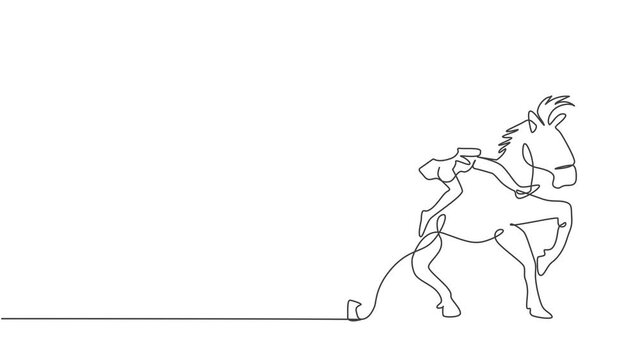 Self drawing animation of single one line draw a female acrobat performs on a circus horse while dancing on the horse's back, raises her hands. Horse joins dance. One line draw. Full length animated.