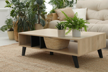 Stylish room interior with comfortable sofa and beautiful potted plants. Lounge zone