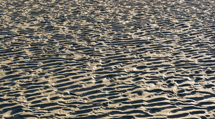 Wattenmeer vor einem Sandstrand an der Nordseeküste in Sankt Peter-Ording