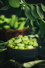 Broad bean. Fresh broad beans with spices. Green beans.