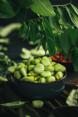 Broad bean. Fresh broad beans with spices. Green beans.