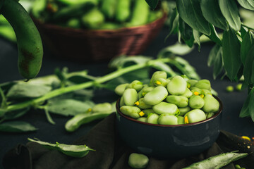 Broad bean. Fresh broad beans with spices. Green beans. - obrazy, fototapety, plakaty