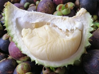 Durian and Mangosteen