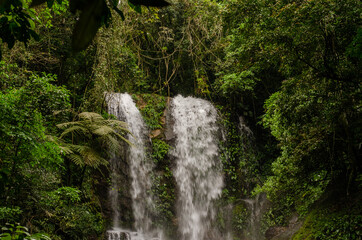 Fototapeta na wymiar Cachoeira da Andorinha - Xerém.Reserva Biológica do Tinguá.