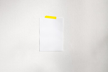 Mockup of paper with colorful scotch paper. Empty white paper sheet with soft floral shadows. Taped...