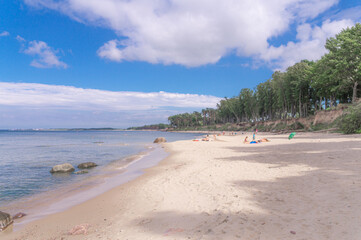 beach with trees