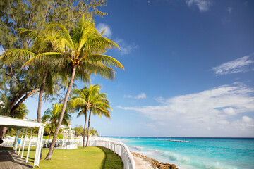 Fototapeta na wymiar Summer on Barbados Island. Exotic vacations. Palm trees. Turquoise water. Sunny blue sky. Beautiful white-sand beach.