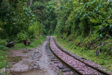 Fototapeta premium railroad turn in forest