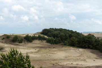 Fototapeta na wymiar amazing view of sandy Grey Dunes at the Curonian Spit.