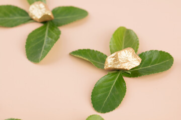 The growth of gold nuggets on plants means agricultural economic benefits
