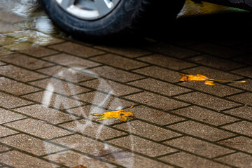 colorful autumn leaves and a reflection of a car wheel in a puddle