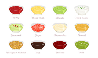 Set of different sauces and dressings in glass bowls. Vector illustration of dips in cartoon flat style.