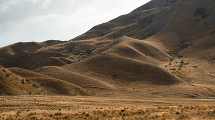 Rolling hills at Lindis Pass, South Island, New Zealand