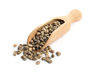 Wooden scoop with hemp seeds on white background