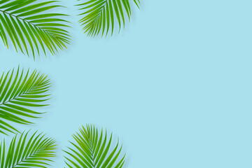 top view of tropical palm leaf on blue color background. minimal summer concept, flat lay, copy space